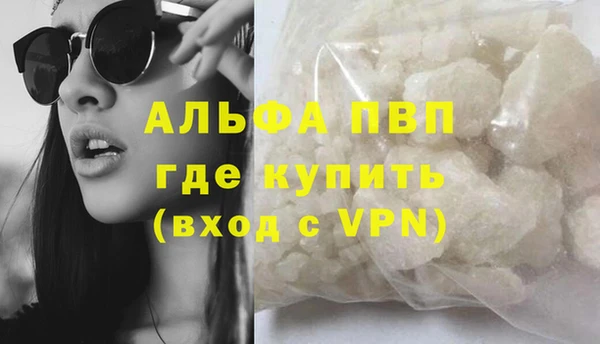 СК Новодвинск