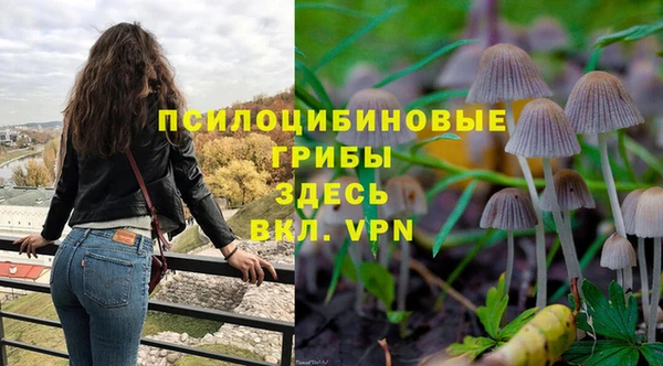 кристаллы Новозыбков