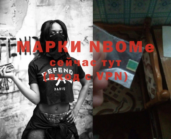 хмурый Нея