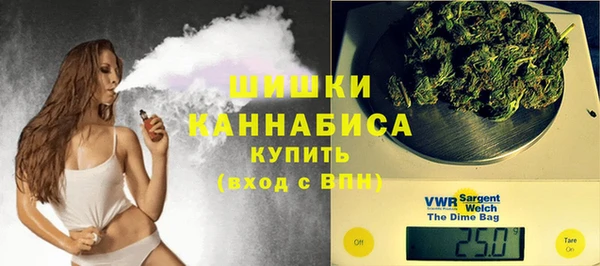 хмурый Нея