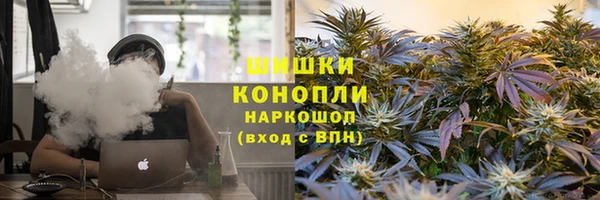 хмурый Нея