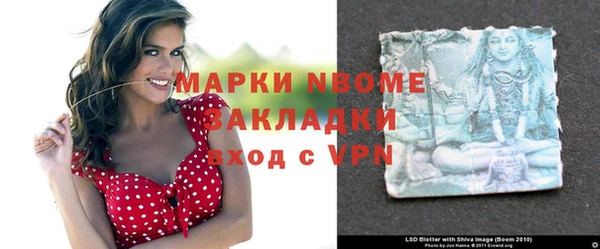 хмурый Нея