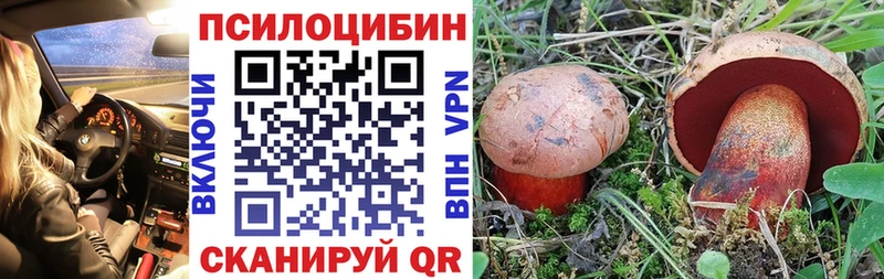 shop формула  Инза  Галлюциногенные грибы Cubensis 